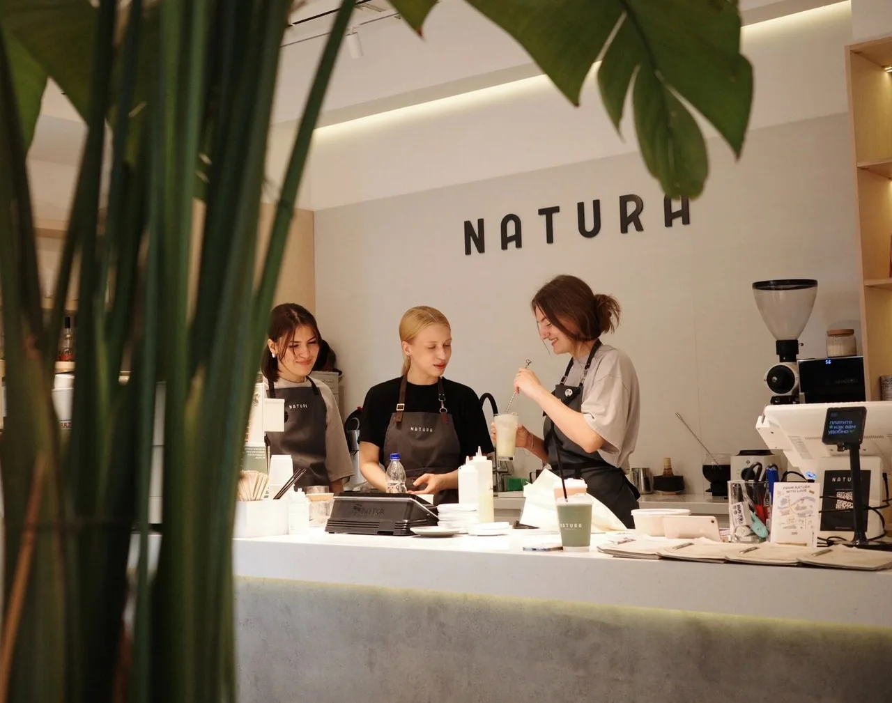 Интерьер кофейни-бистро Natura